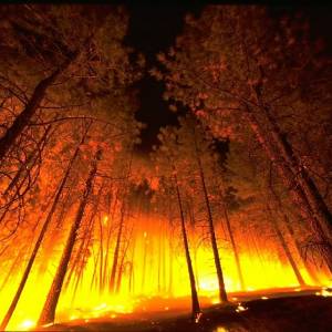 Wildfires have destroyed hundreds of homes and scorched thousands of acres in California this year. (Photo by FEMA / Jana Baldwin)