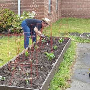 Hunger Action Advocate Jessica Fitzgerald tends to a vegetable garden at her church in the Presbytery of Eastern Virginia. (Photo by Ray Fitzgerald)