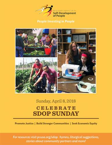 SDOP Sunday cover