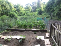 Pittsburgh Community Garden