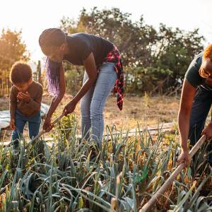 Black people tending their garden