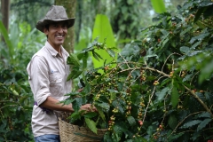 January Main: Jaime Escobar tending his coffee plants outside of Salvador Urbina, Chiapas (photo: Cristobal Lohr Castelo)