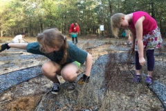 Dogwood Acres-weed pulling festival at the labrynth