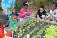 Church volunteers and children work together in a community garden. Earth Care Congregations commit to environmental stewardship in ownership, education and outreach activities. (Photo courtesy Second Presbyterian Church, St. Louis)