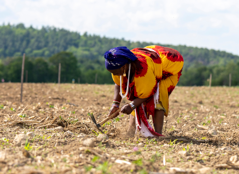 woman with bright Somalian garb cultivating field