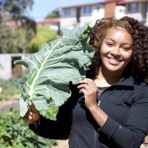 Urban Tilth photo