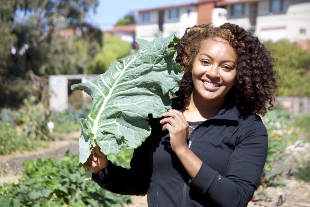 Urban Tilth photo