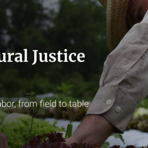 Farmworker's arm and heading, "Agricultural Justice Project"