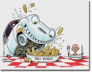 cartoon of car eating corn cobs