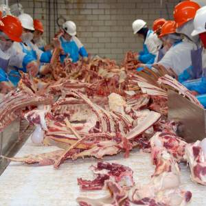 meat processing with bones and meat on big table