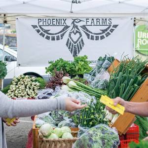 women at farmers market taking voucher