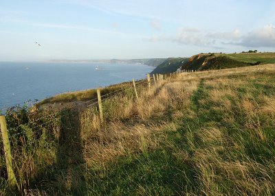 fence next to cliff above ocean