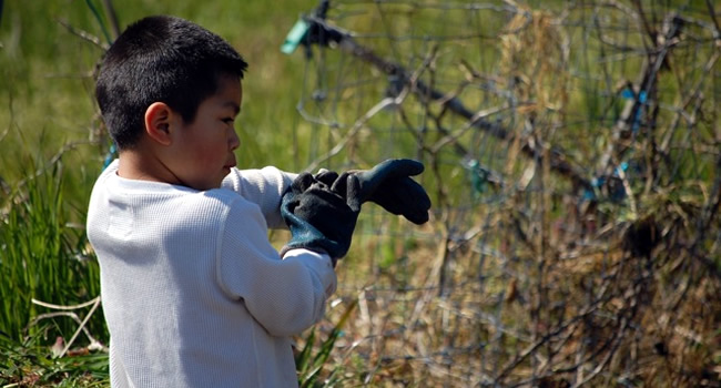 boy with gloves