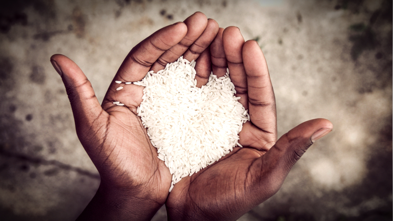 hands holding rice