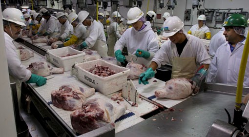 meatpacking workers on line with bones and meat