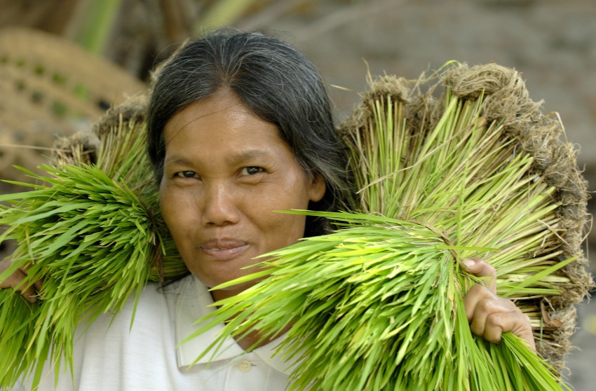 Filipina woman with rice