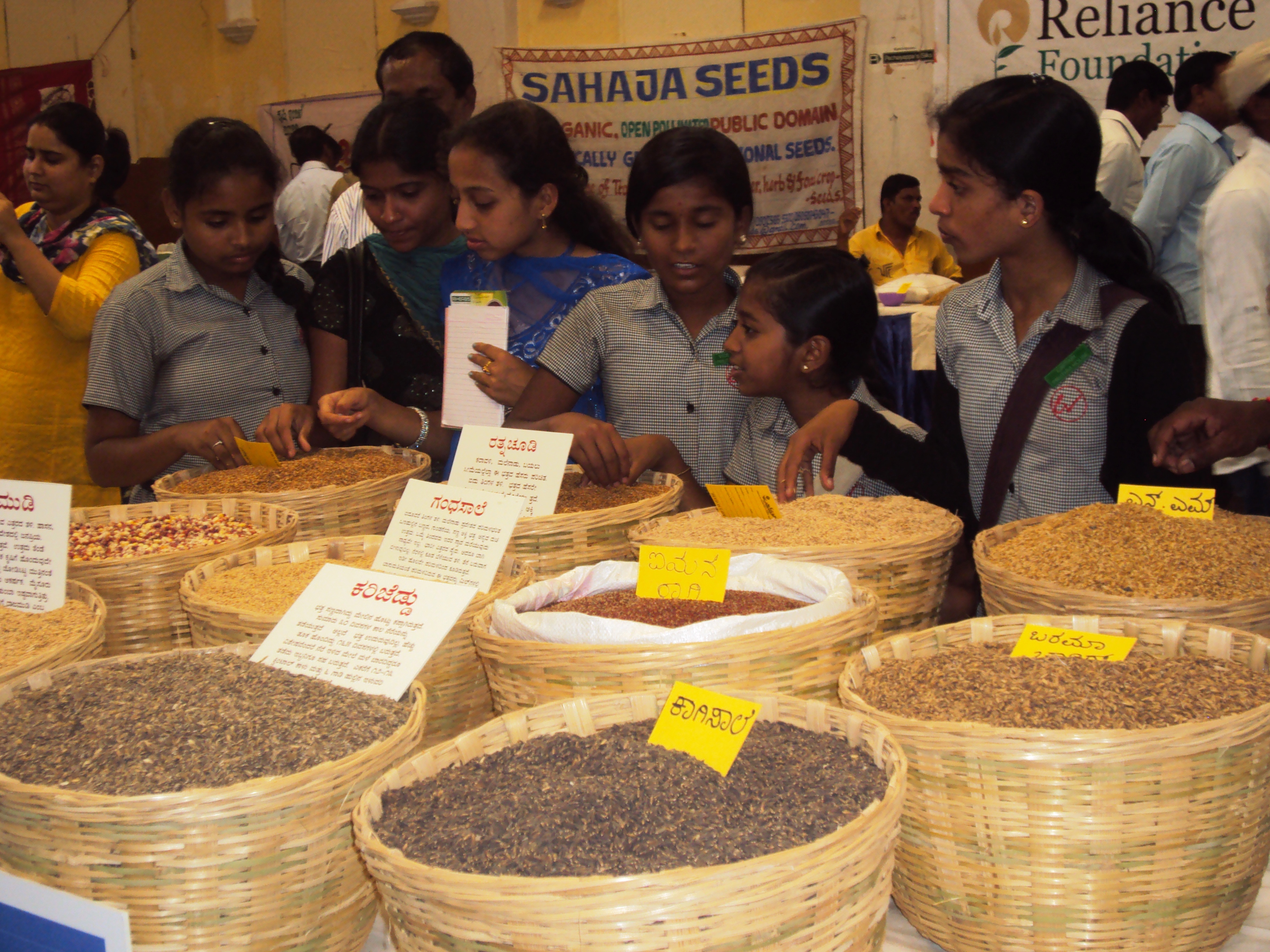 seed festival